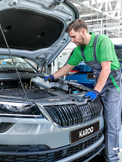skoda